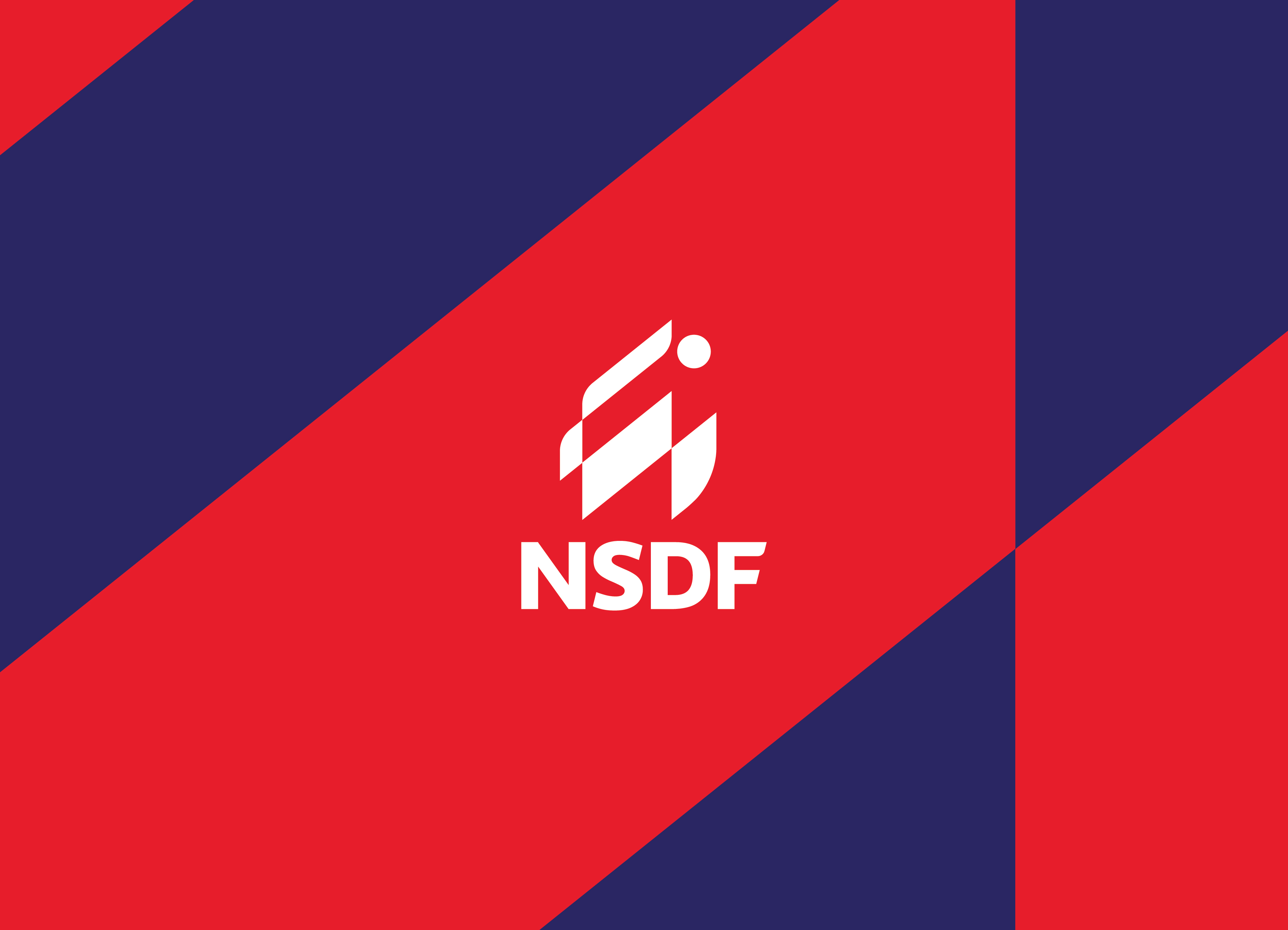 NSDF Brand Identity